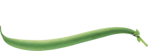  Tibits Gutscheincodes